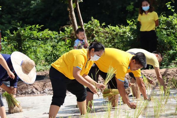 20991417523840100250734852769412035518133016n