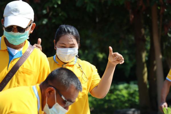 21082531023840109617400581623506780138200955n