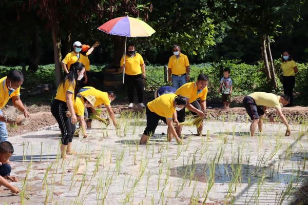 21122589323840096184068593695674248801394665n