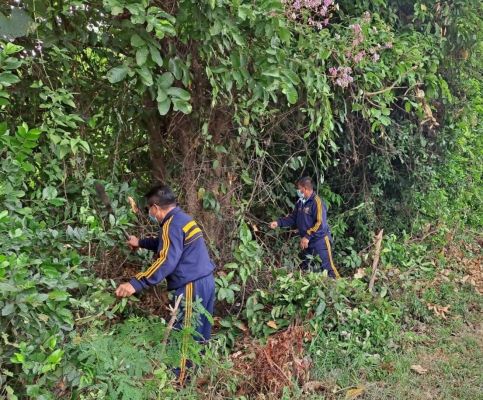 5645039D-C802-42B9-B98E-CBC768D3889F