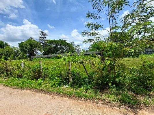 23748230824347422300002649050921822113514059n