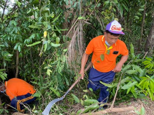 24214507424448862256525318572039550482129425n