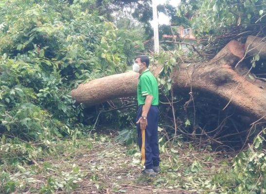 28255824326422150359196484547060776475809036n